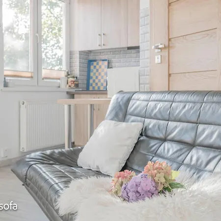 Dom 306 Dom Na Wylacznosc Dla 6 Osob Z Parkingiem, Ogrodem I Grillem Jastrzebia Gora